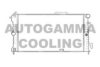 OPEL 1300144 Radiator, engine cooling